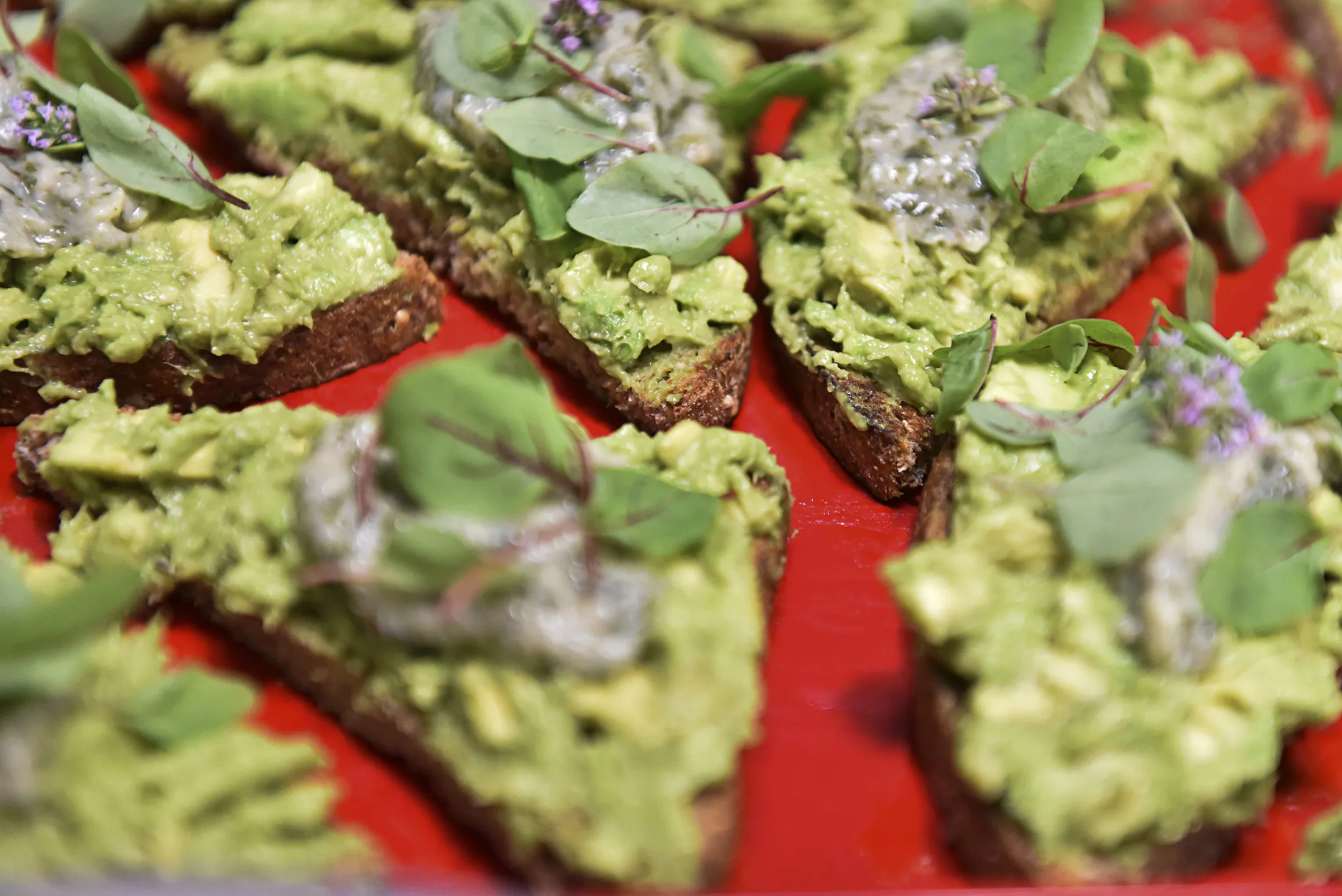 1503557981_AVOCADO_TOAST
