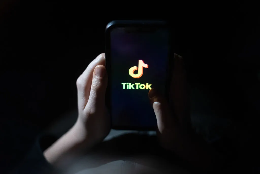 A boy with theTikTok app.