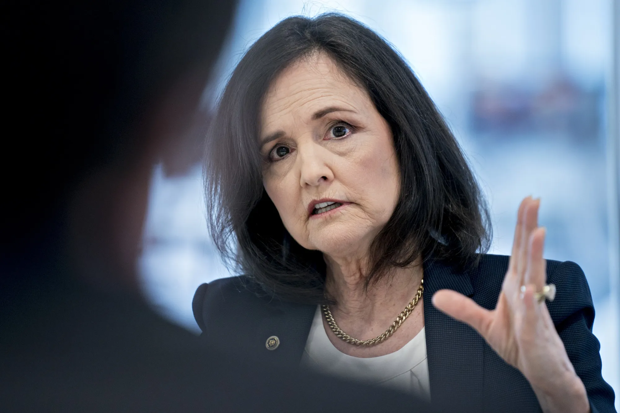 Judy Shelton