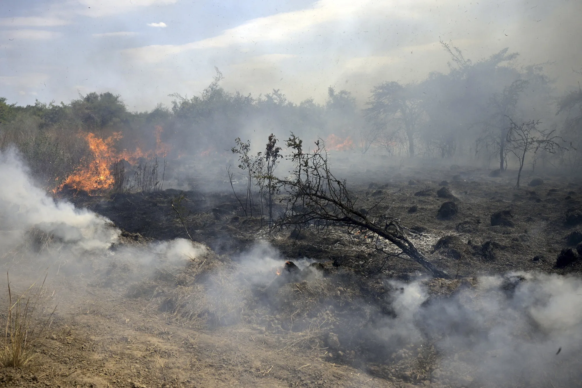 Wildfires burn at Paraje Uguay, near the Ibera National Park in Argentina, on Feb. 22, 2022.