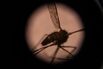 BURKINA-HEALTH-MEDICINE-MALARIA-OUTBREAK