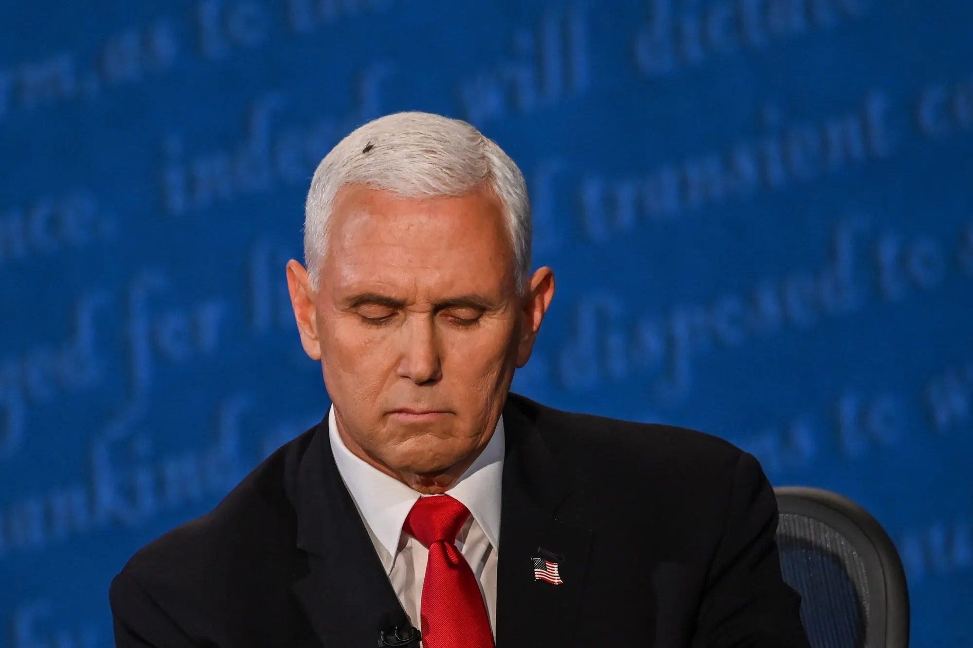 A fly rests on the head of Mike Pence during the vice presidential debate on Oct. 7.