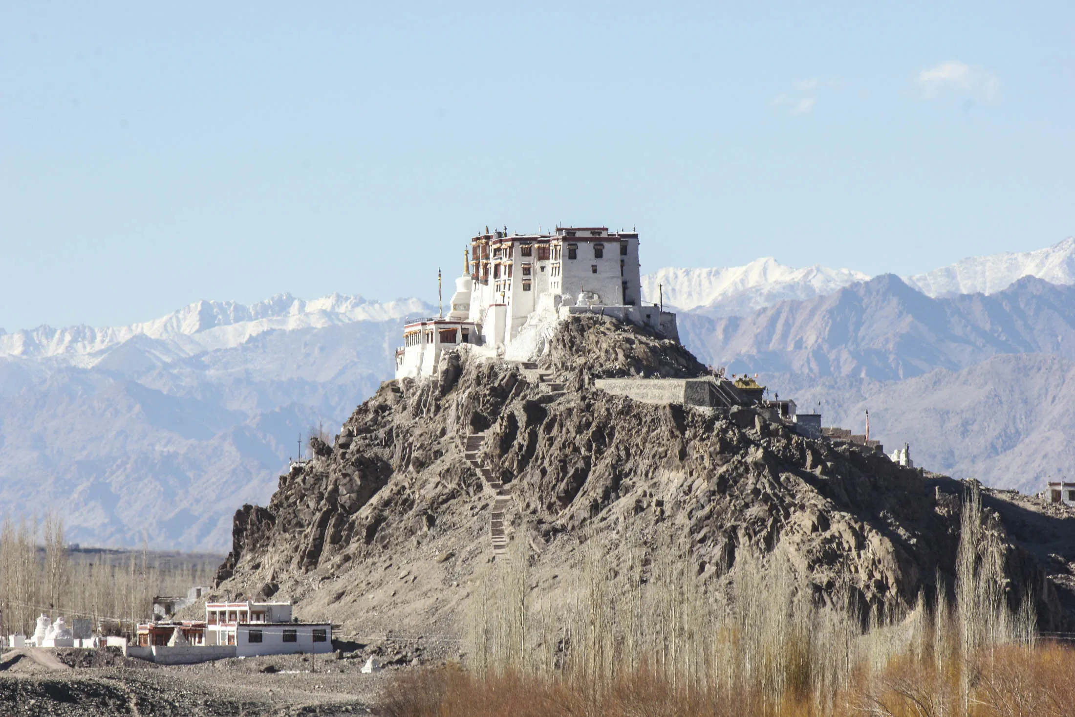 What To Know Before You Go Tracking Snow Leopards at 13,000 Feet - Bloomberg