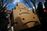 relates to Amazon's Pullout Is a Blow to New York City's Tech Momentum