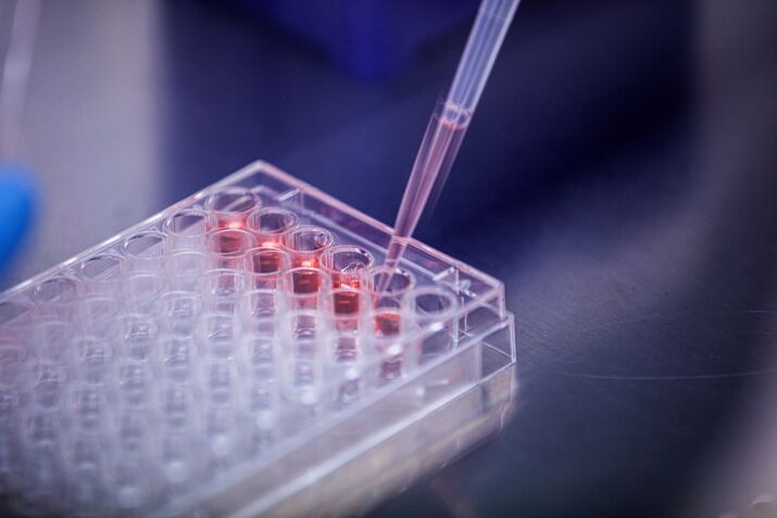A laboratory.