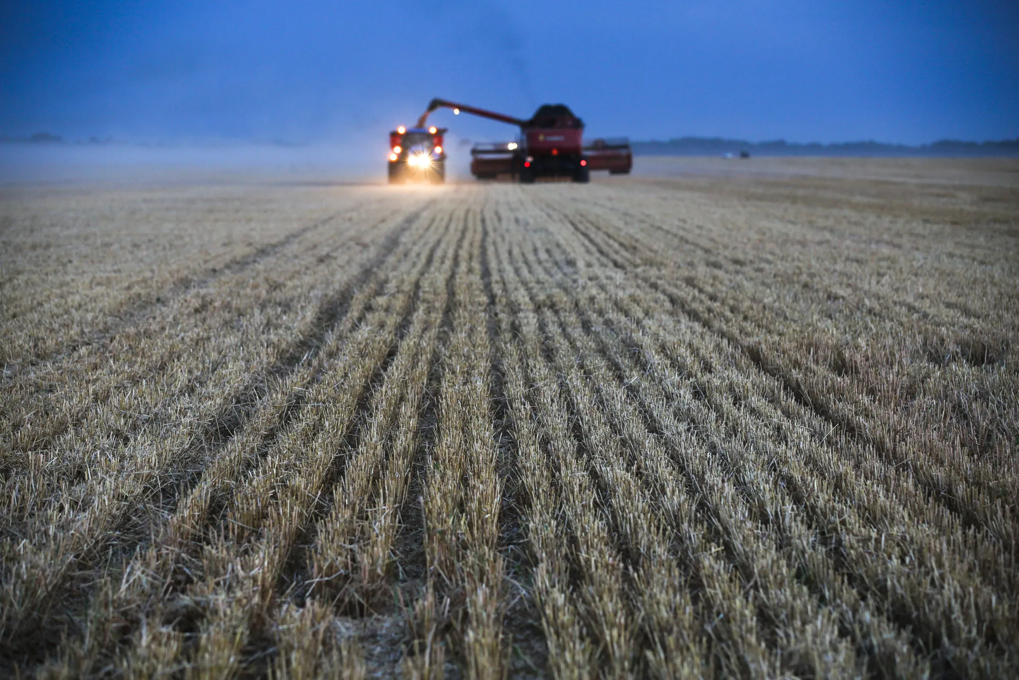 A combine harvester operates as night falls during the summer wheat harvest on a farm&nbsp;in Novoalexandrovsk, Russia, on&nbsp;July 16.&nbsp;