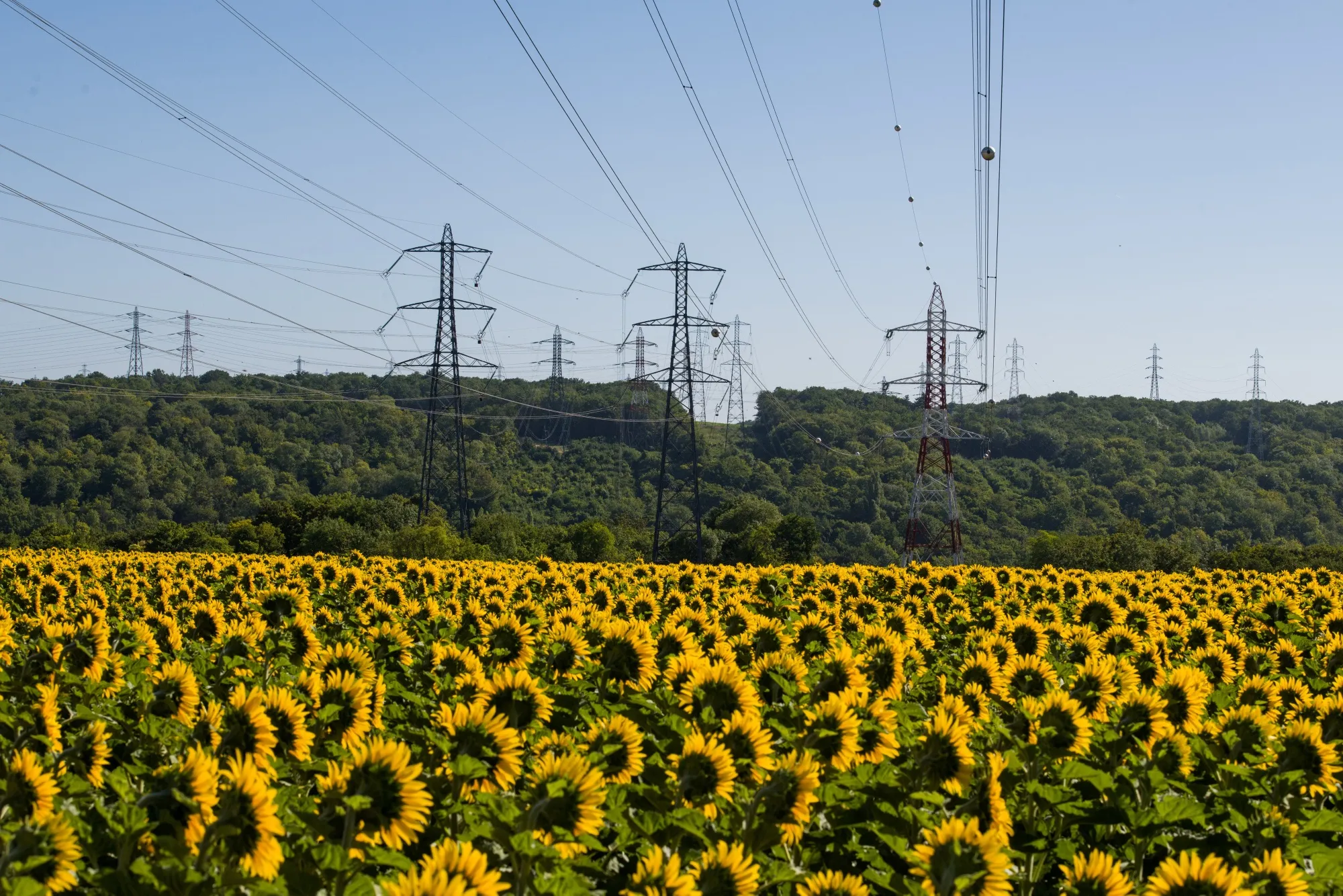 Electricite de France SA Power Plants in France