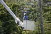 After Maria, Investors Get Blank Slate To Rebuild And Profit From Island's Rickety Power System