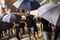 Hong Kong Groups Continue Protest of Extradition Bill With March