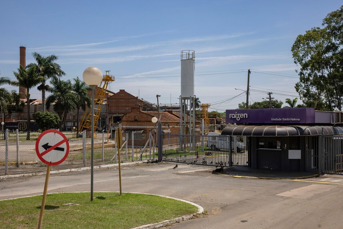 Raízen Jumps Most Ever on Report Petrobras Eyeing Investment