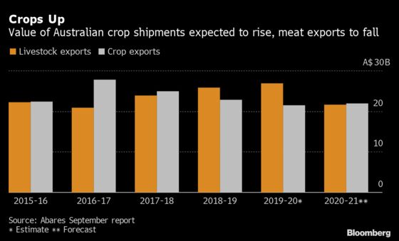 Virus and Trade Woes Set to Cut Australian Farm Exports by 10%