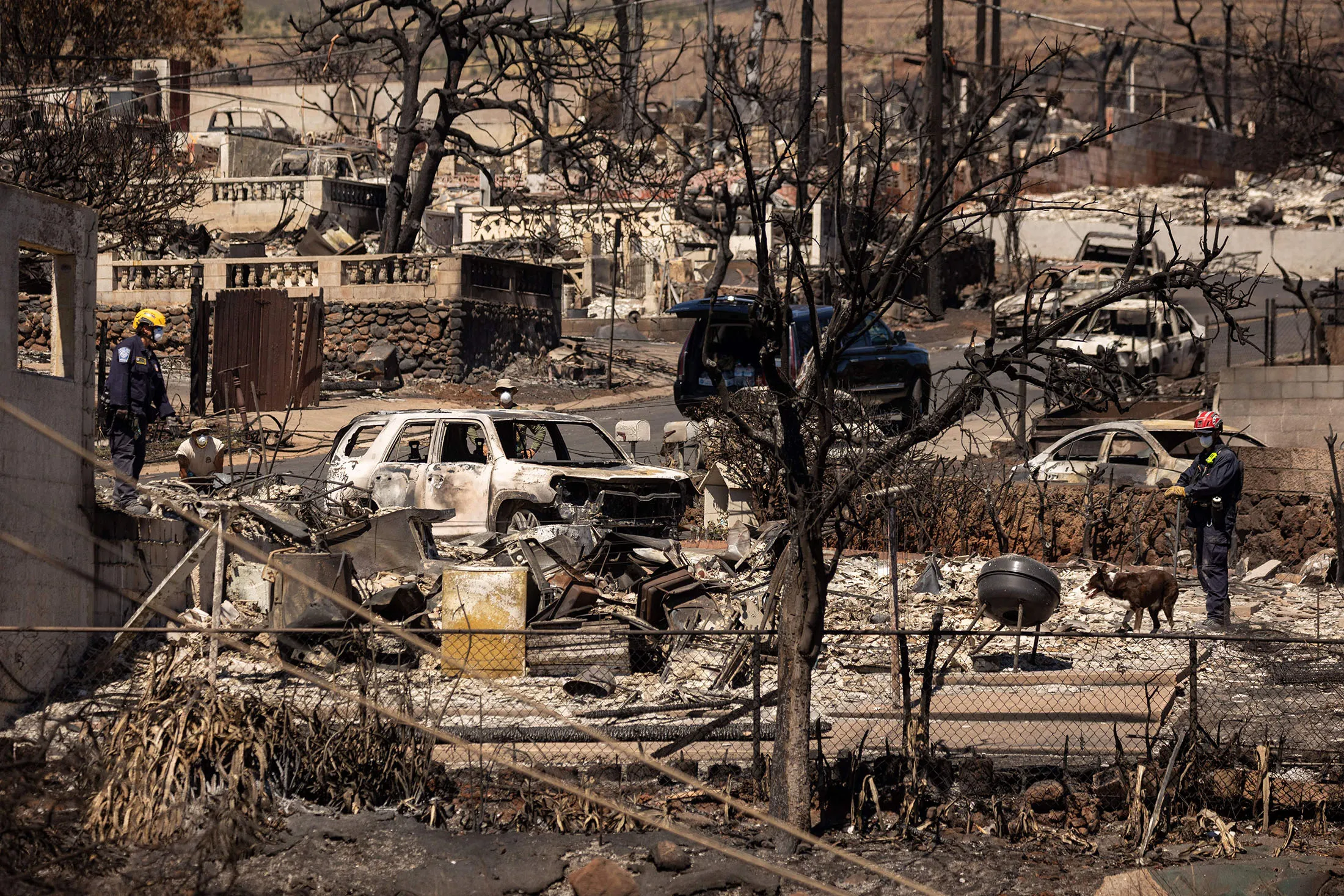 Search and recovery team members check charred buildings and cars in the aftermath of the Maui Fires in Lahaina, West Maui, Hawaii, on Aug.&nbsp;17, 2023.