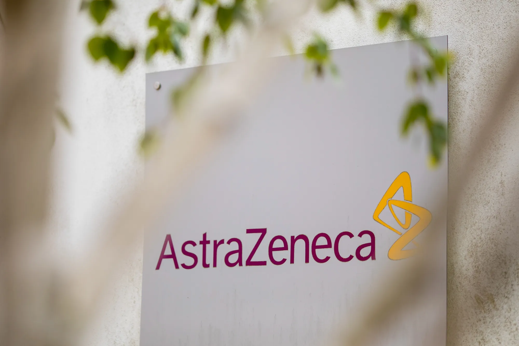 Astra’s boutique-heavy lineup was reminiscent of the $40 billion sale of British chip designer Arm.