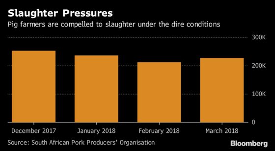 Pig Farmers `Pray' as Tiger Brands Plants Shut After Deaths