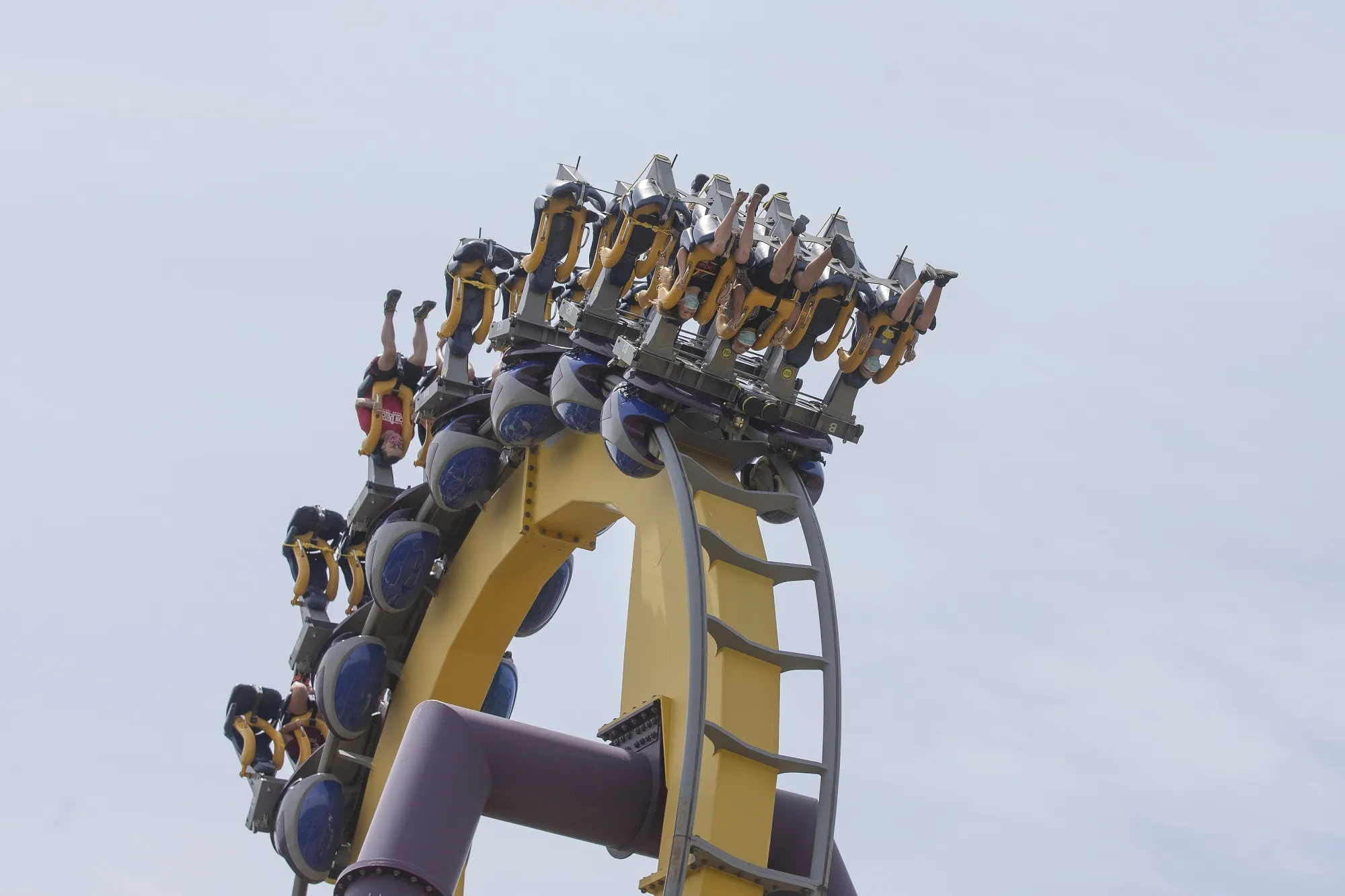 2020 was a wild ride.