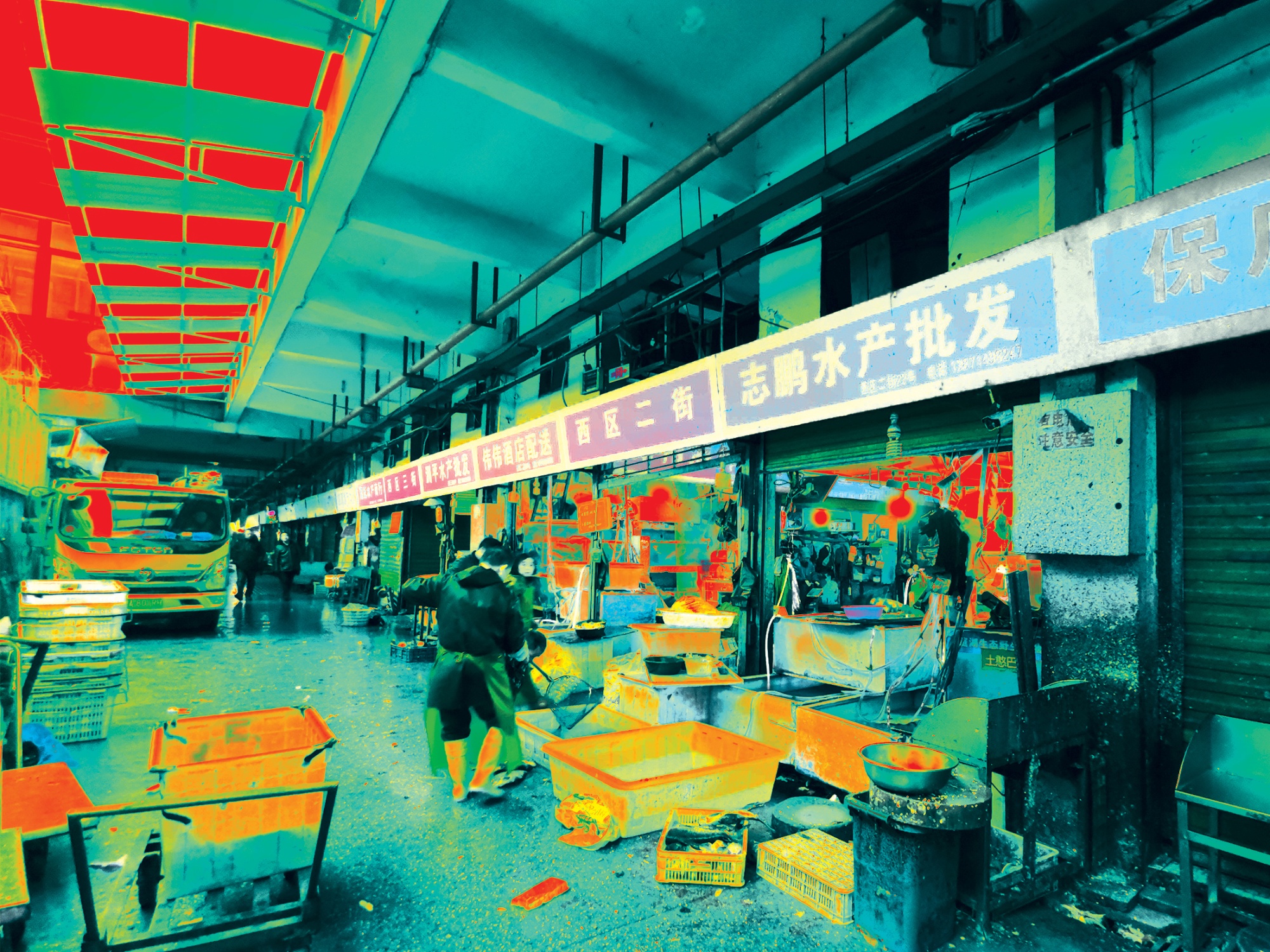 Wuhan Huanan Wholesale Seafood Market, December 31, &nbsp;2019.
