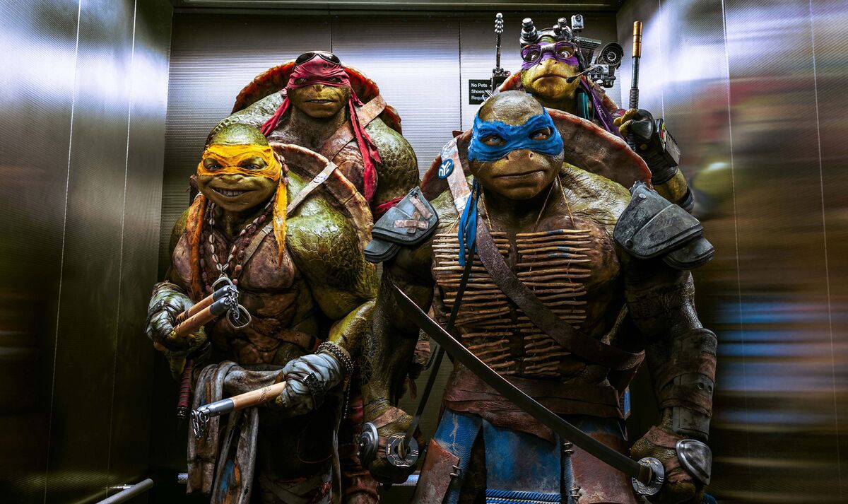 star trek turtles