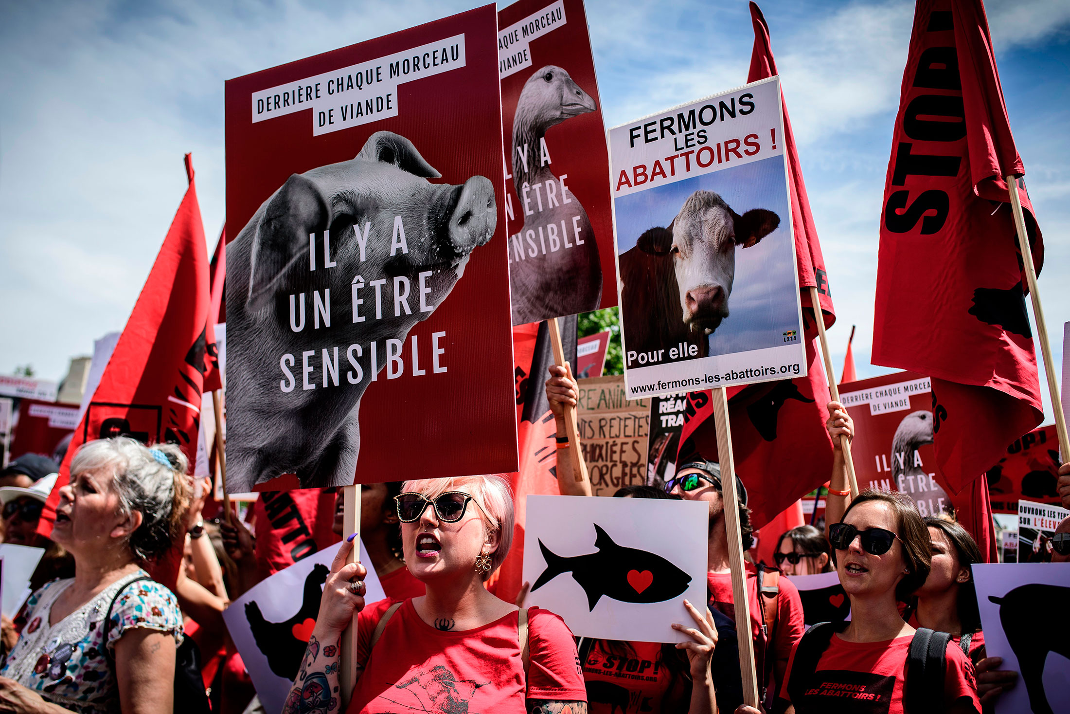 Vegans Are Rising in France - Bloomberg