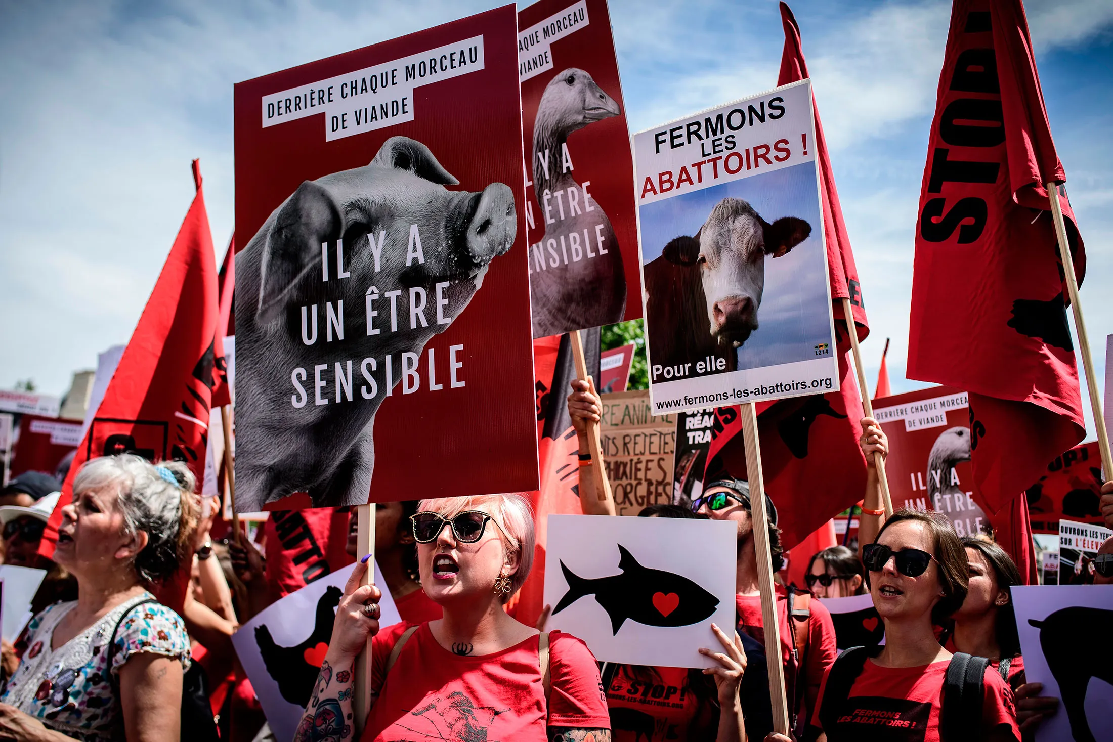 Anti-slaughterhouse&nbsp;and meat consumption protesters&nbsp;in Paris on June 23.