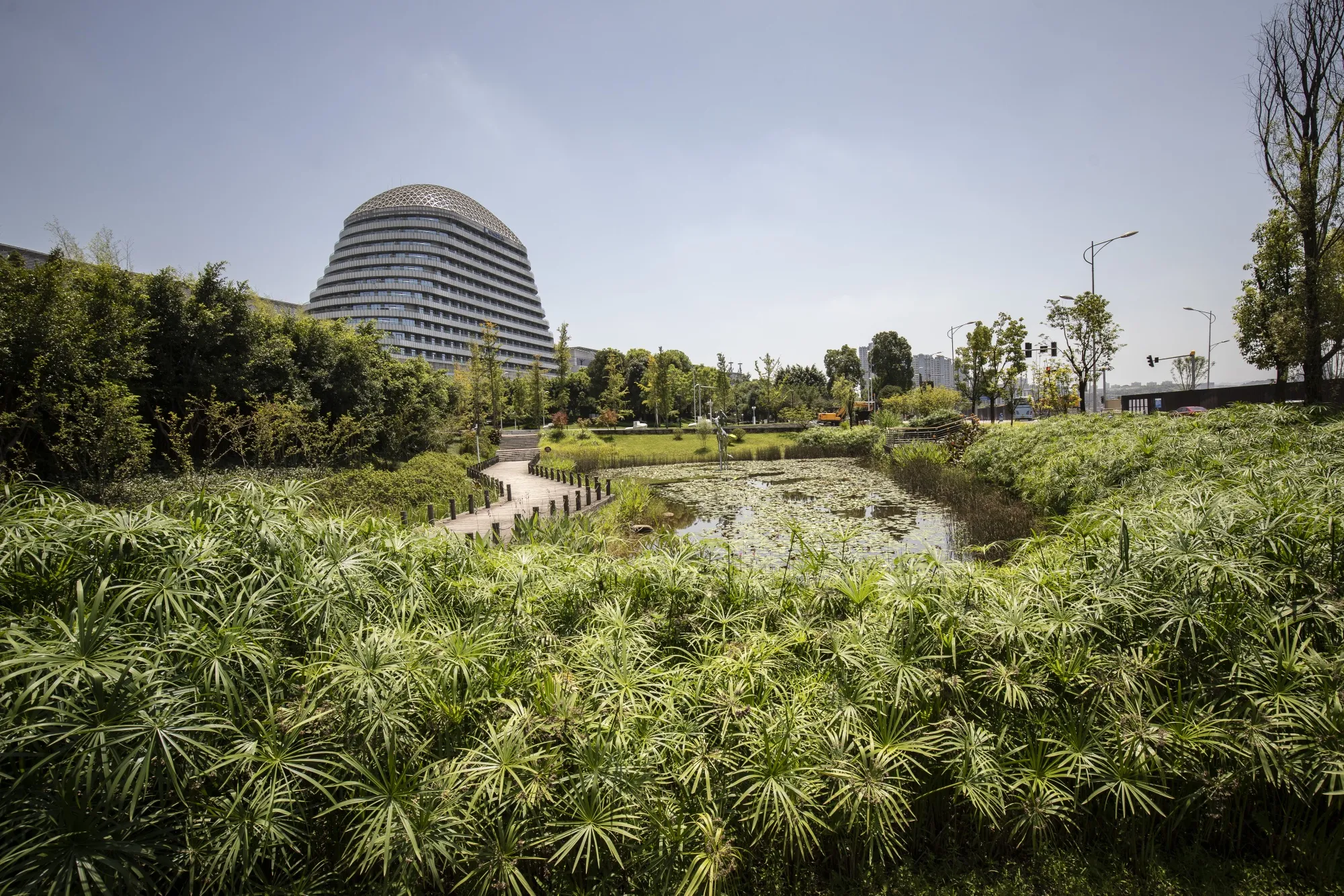 Water catchment ponds in Yuelai New Town.