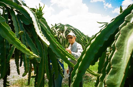 On the Trail of a Deadly Disease That Cuts Down Farmworkers in Their Prime