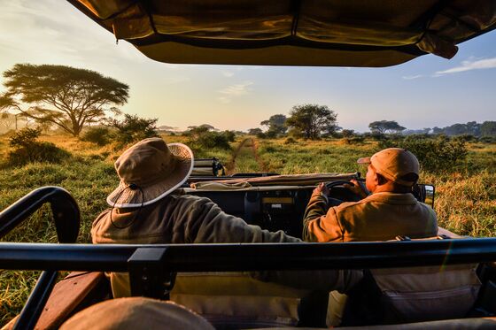 Safari Guides Become Unlikely Stars as Conservation Turns to Instagram