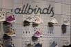 An Allbirds Store Ahead Of Earnings Figures