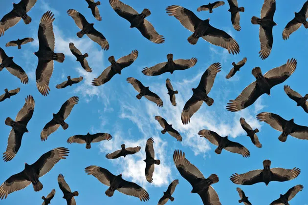 Energy Future's Profitable Road to Oblivion