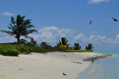The beach on Helen Island, Hatobei, Palau on June 11 2012. Photographer: Mike Di Paola