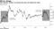 This election, traders are buying the peso and selling the ruble