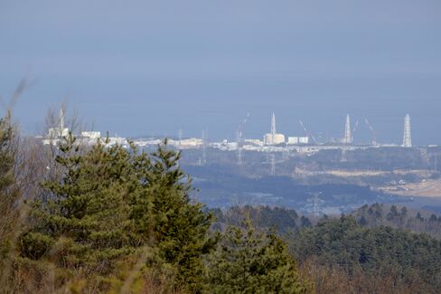 Fukushima Seeks Revival in Radiation-Free Farms With No Soil