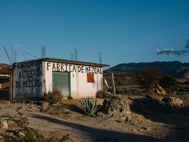 A mezcal distiller in the Santiago Matatlán area of Oaxaca