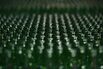 Empty green glass bottles. 