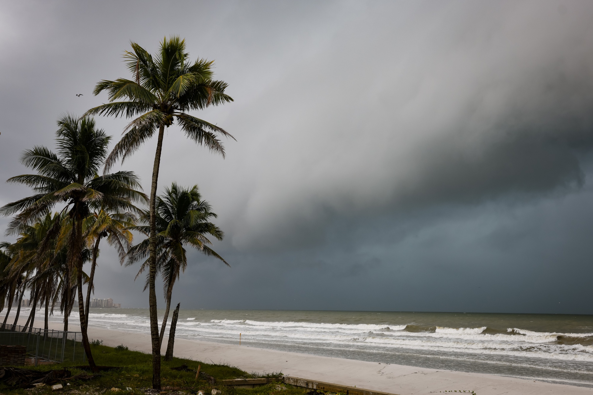 Heavy rain, tropical storm winds from Idalia pelt Bulloch