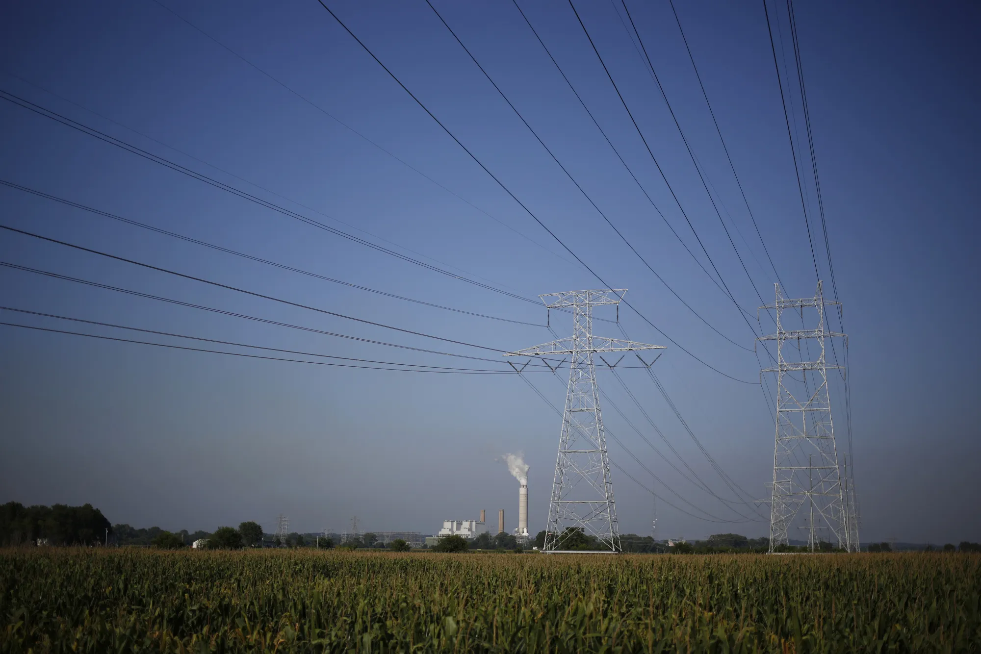 Power lines run through a cornfield&nbsp;in West Alton, Missouri.
