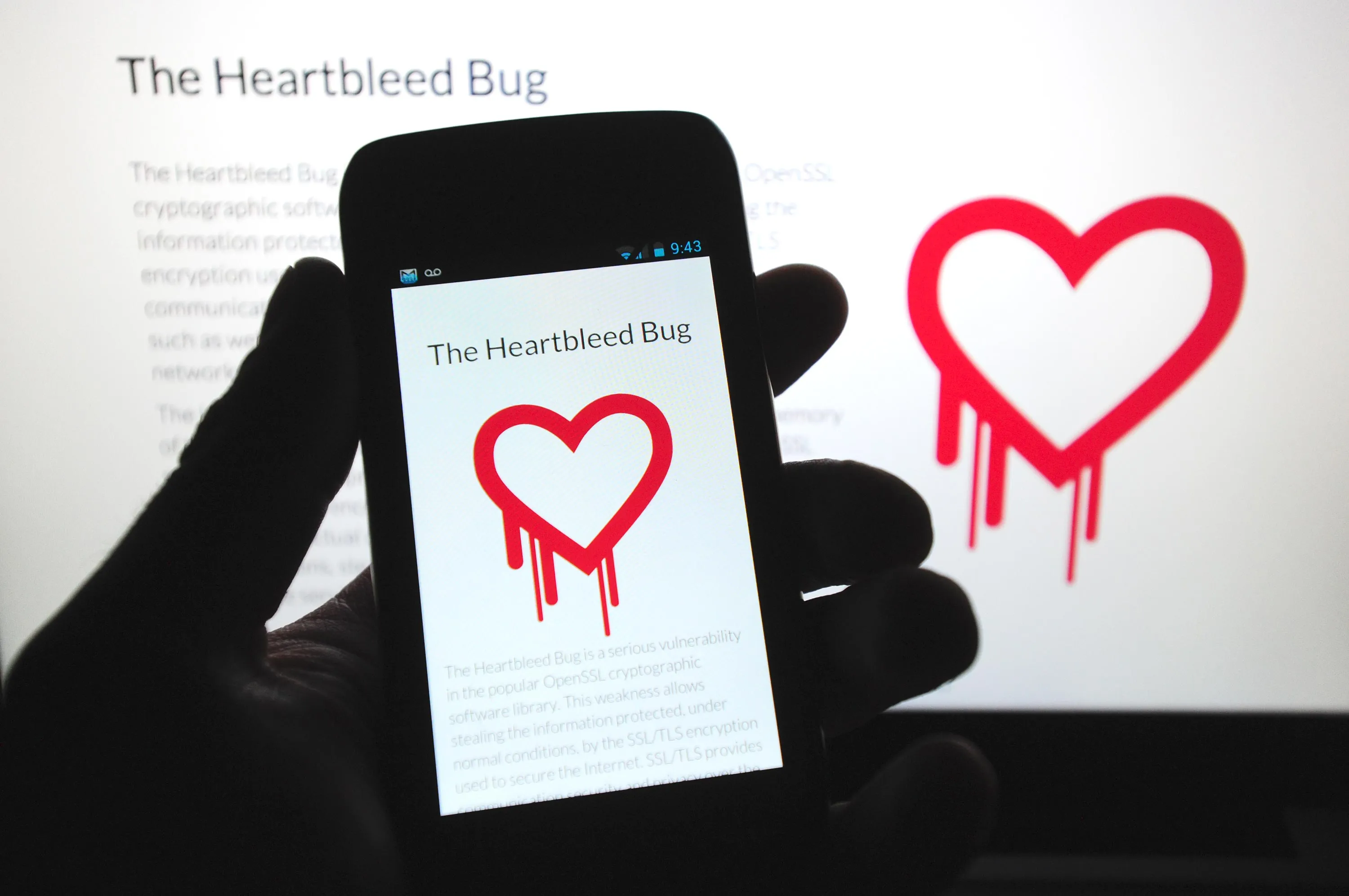 The Heartbleed.com information website on April 17, 2014. Photograph: Alex Milan Tracy/Sipa USA via AP Images