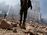 relates to Yemen Vows to Confront U.A.E.-Backed 'Coup' as Infighting Rages