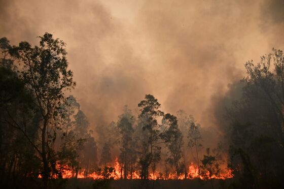 Australia’s New South Wales Hit by Unprecedented Bushfires