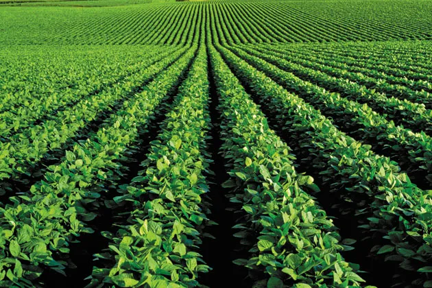 The U.S. ships 2 million tons of corn, soybeans, peas, and other commodities annually to feed 53 million people overseas at a cost of about $2 billion. Only 40 cents of every dollar spent, on average, goes toward food