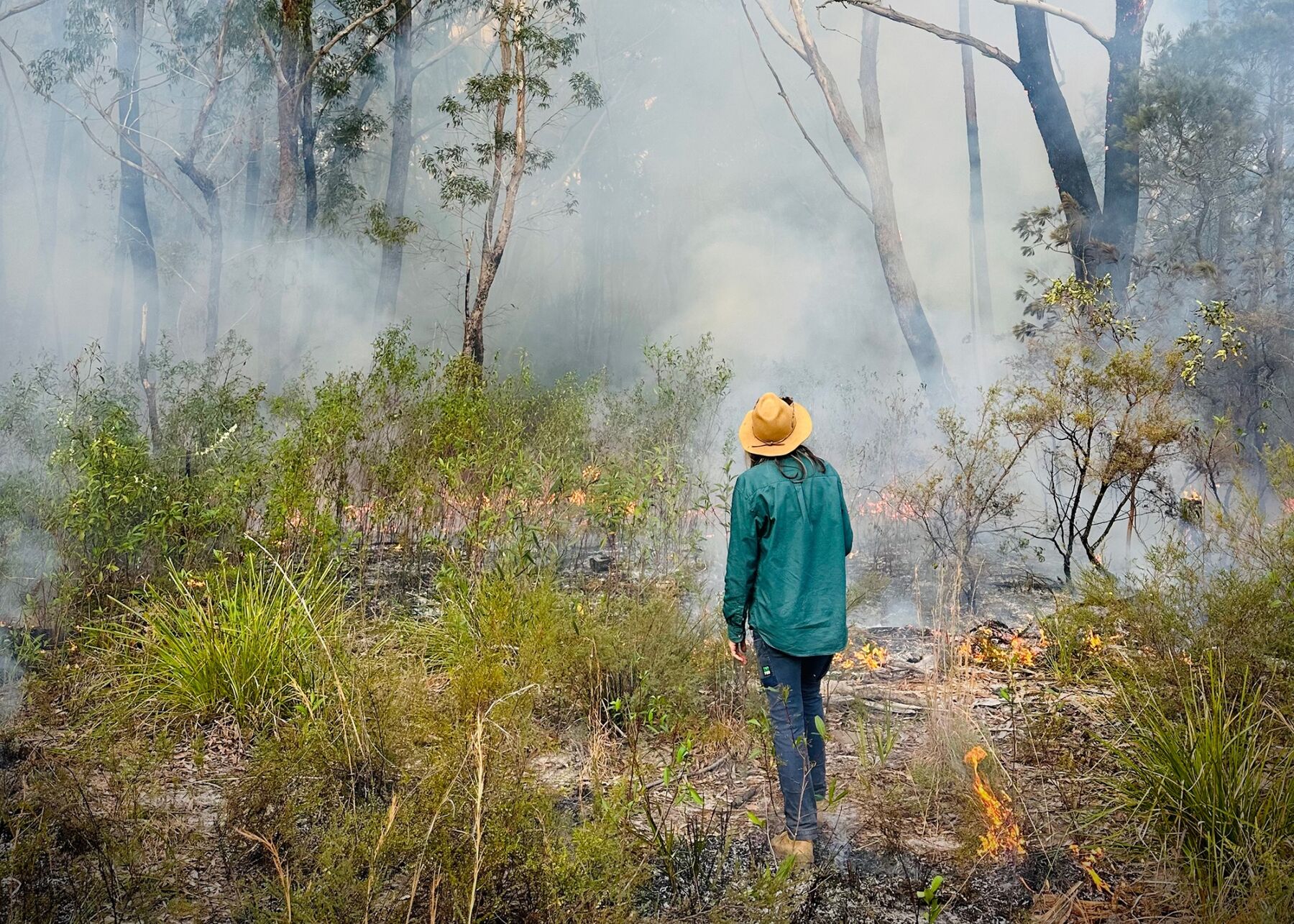 Indigenous Australians Have 60,000-year-old Skills To Help Prevent 