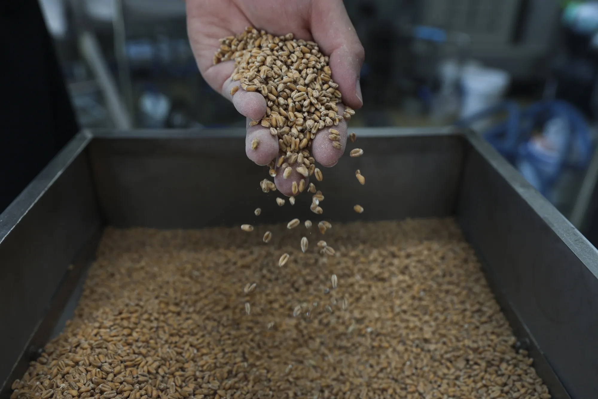Traders have piled into exchange-traded funds covering oil to metals and grains as investors wager that the global economy is set to avoid a painful recession, despite the prospect of higher interest rates.