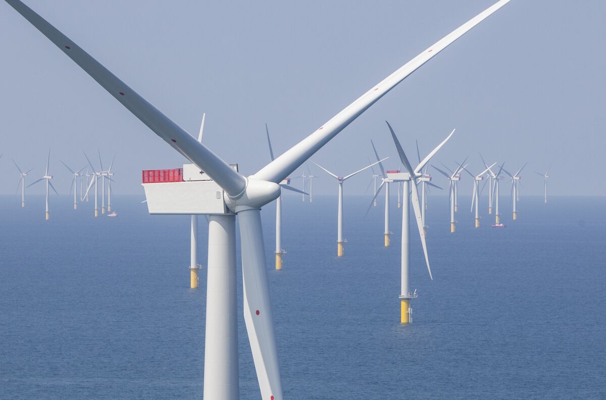 
                            Orsted Shares Slump After Trump Escalates Offshore Wind Threat
