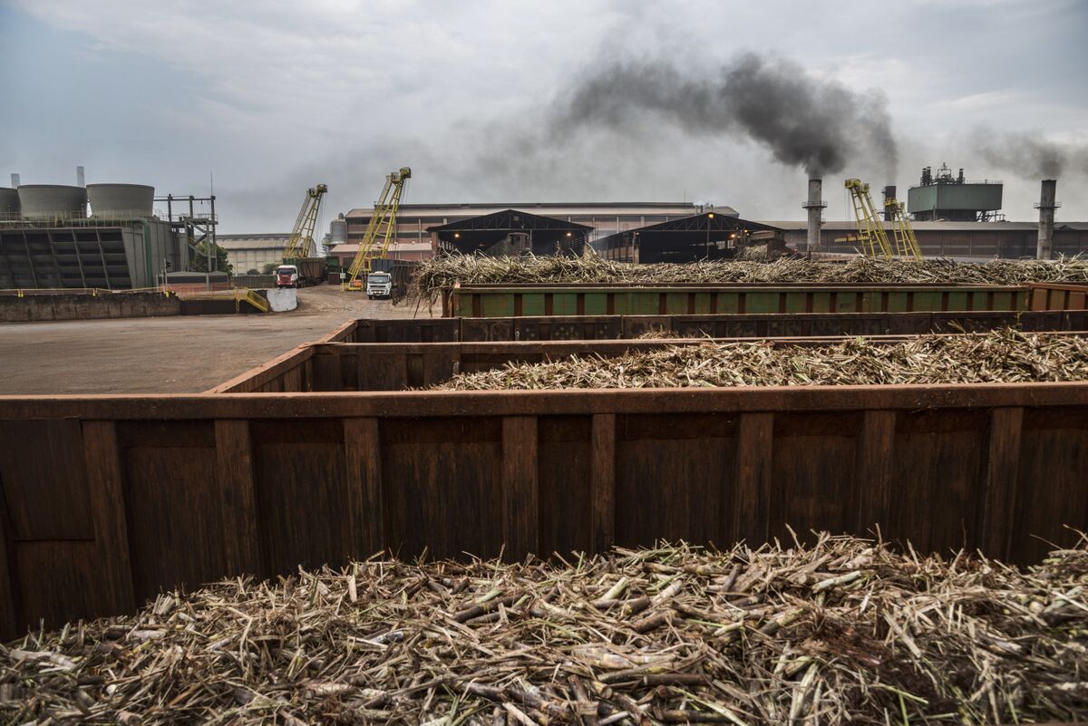 Raizen (RAIZ4) Considers Sale of Ethanol, Oxxo Stakes