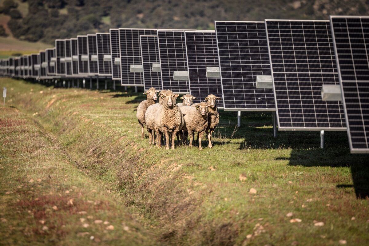 assets.bwbx.io image