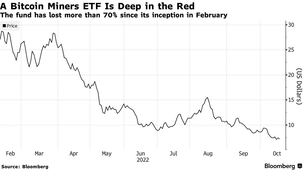 The fund has lost more than 70% since its inception in February