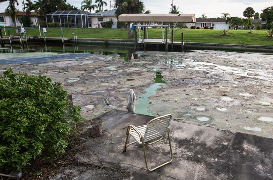 Toxic Slime Is Ruining Florida’s Gulf Coast