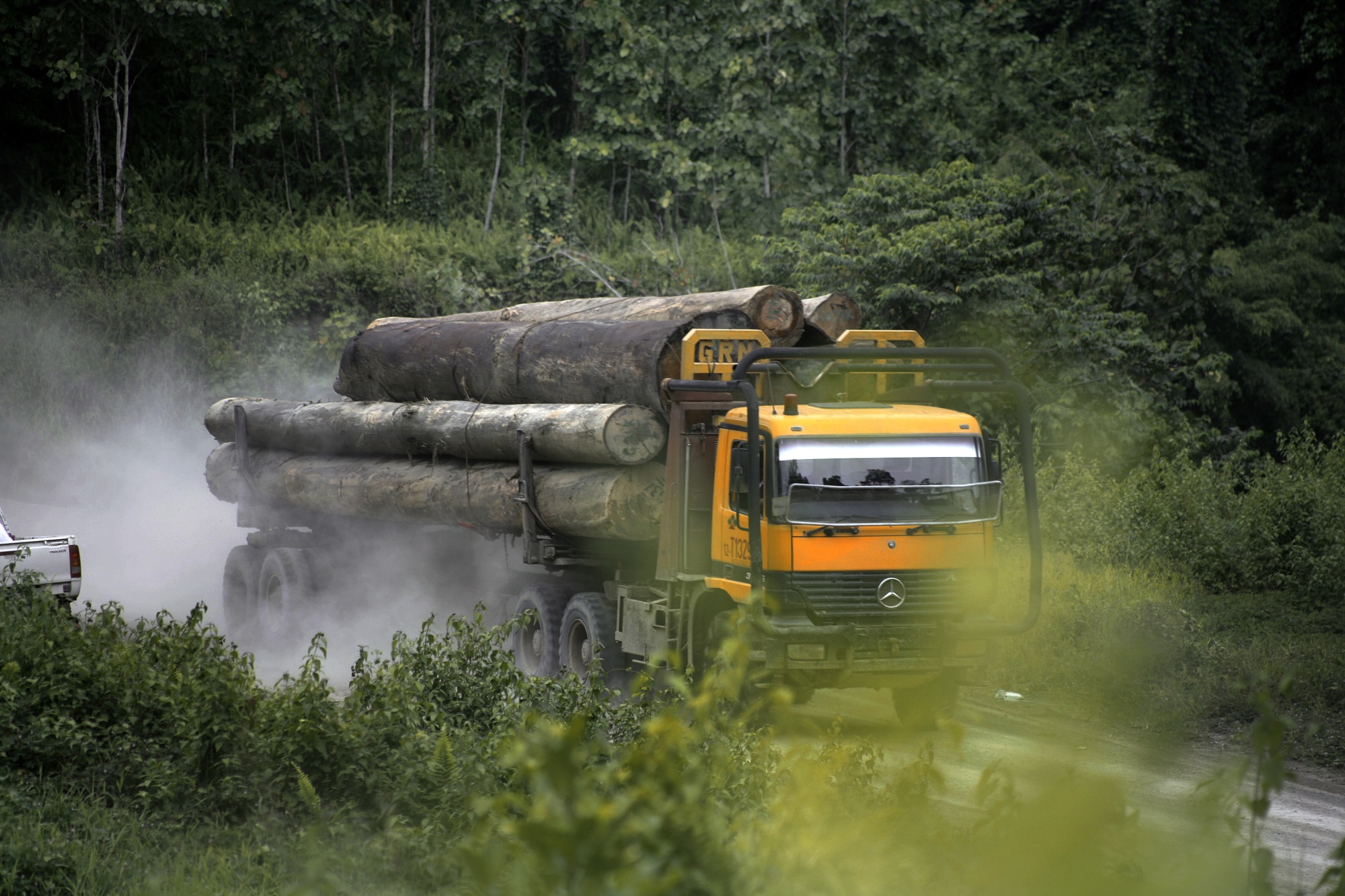 Threats to Borneo forests