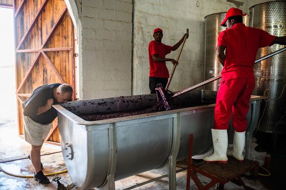 South Africa’s Winemakers Open a New Frontier in the Dragon Mountains