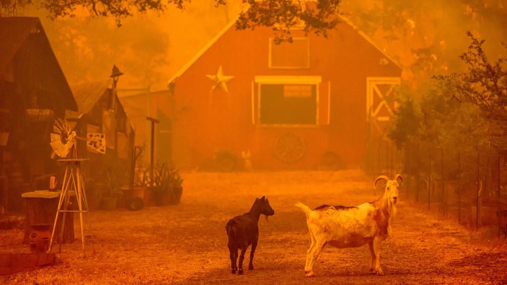 Thompson Fire: 12,000 Evacuated, 3,568 Acres Burned in Butte County, California