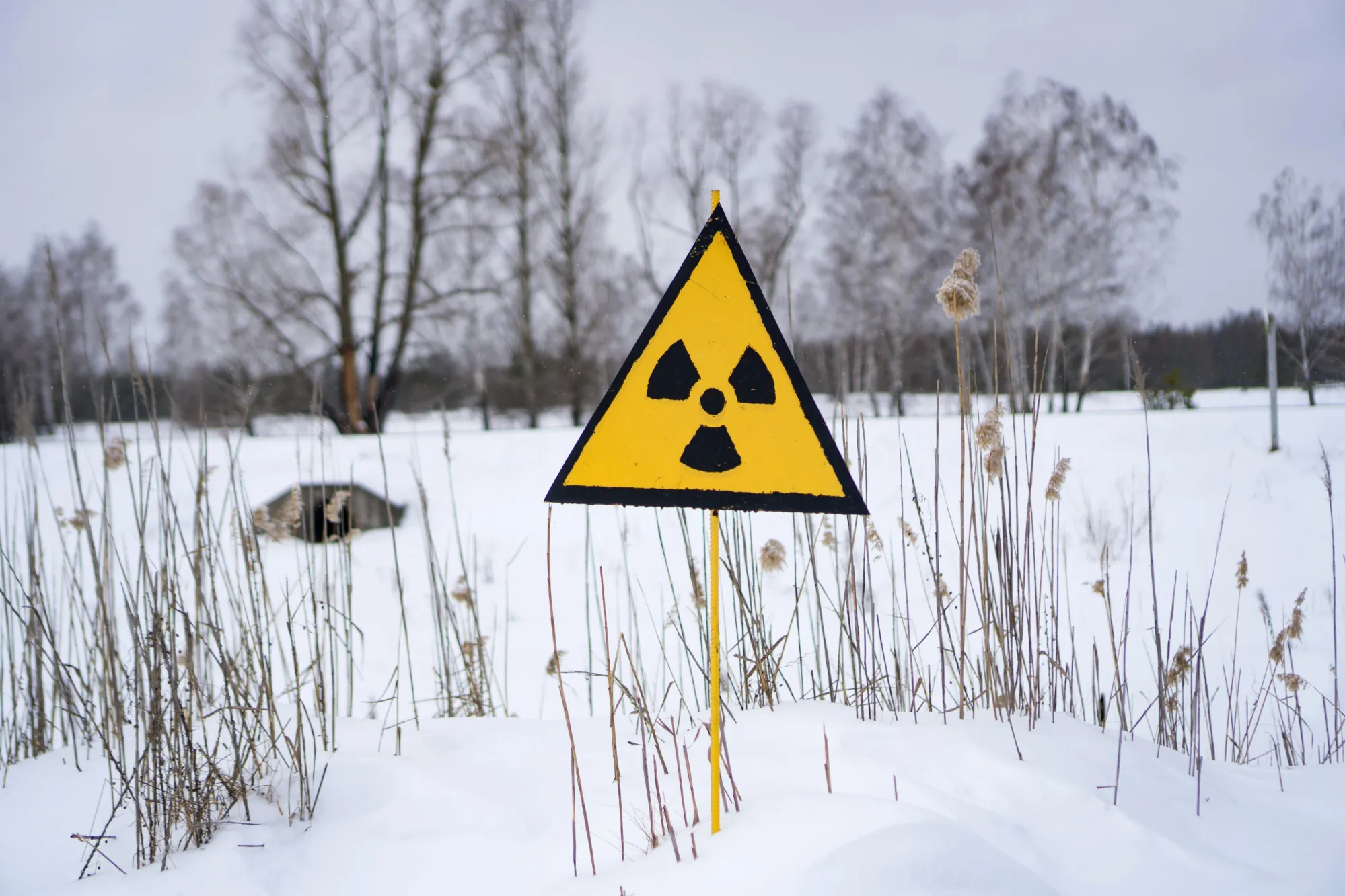 Nuclear Wasteland Home To World's Unlikeliest Green Energy Experiment
